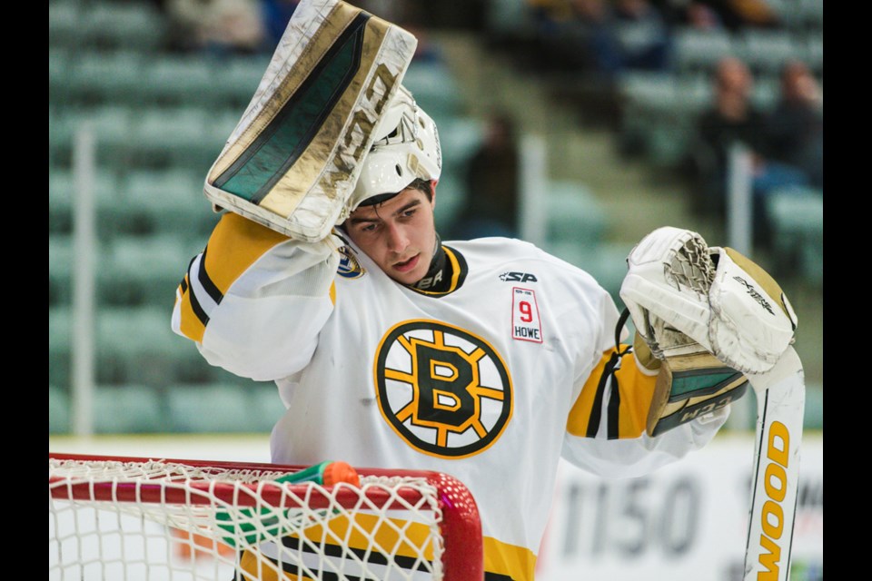 Bruins rookie goaltender Curtis Meger has compiled a 7-4 record with one shutout this year. Photo courtesy of Durr Photography.