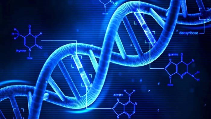 Genomics