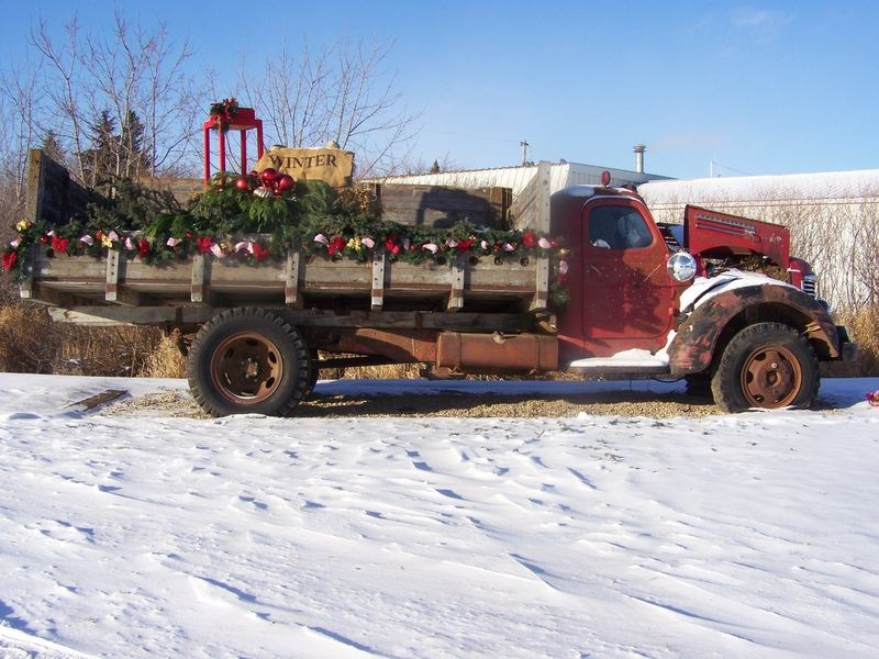 A group that has dedicated itself to beautifying Norquay with special emphasis on Main Street decorated a truck this summer and now a Christmas tree has been added. People in the community have donated many strings of lights for the tree and truck, said Laura Dahl. This committee is part of the Norquay Chamber of Commerce and members welcome ideas for more projects. The Chamber meets every third Wednesday of each month at noon and welcomes new members with innovative ideas.