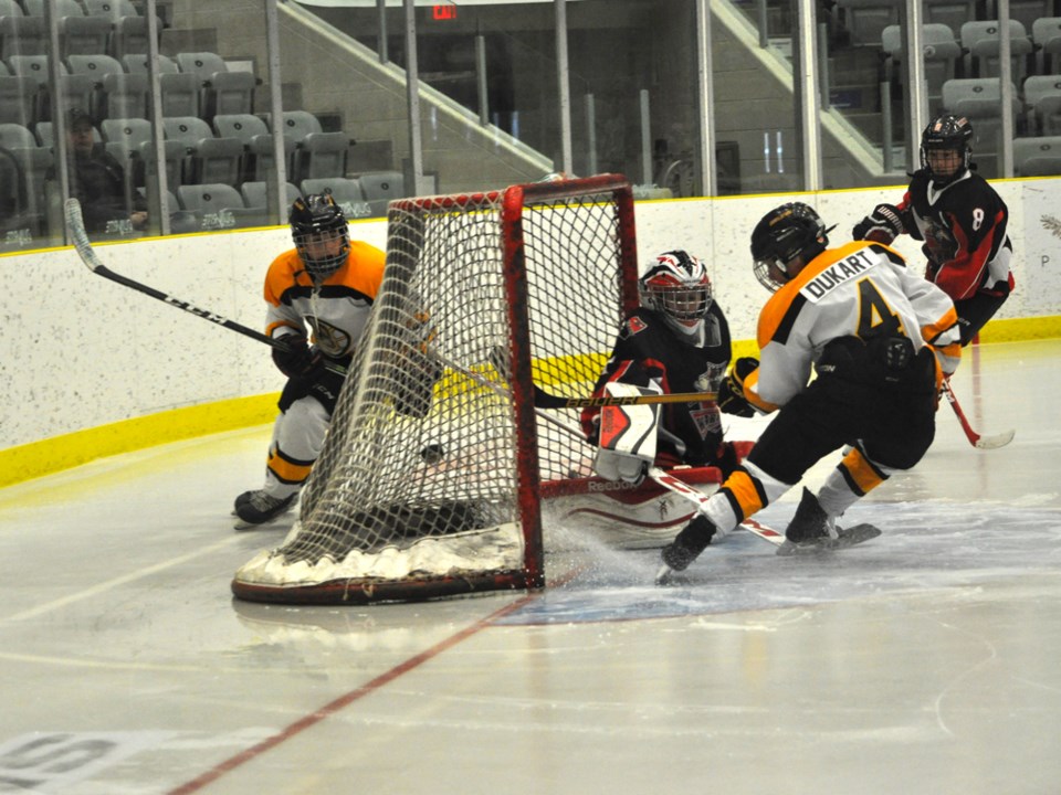 peewee aa bruins dukart jan 2017