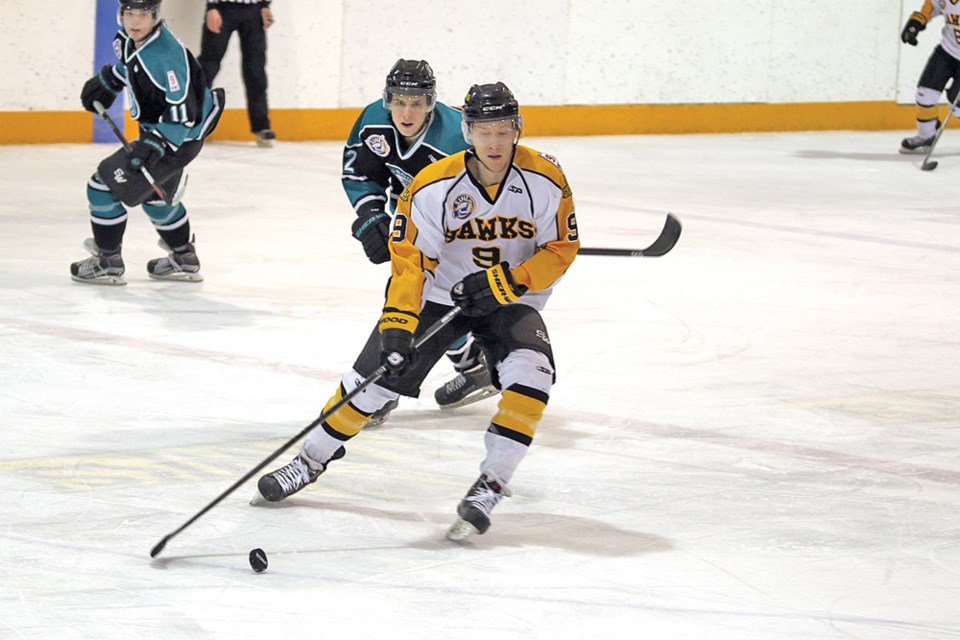 Hawk Grant Baetsen