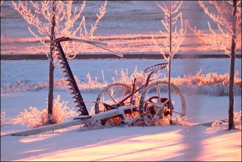winter rural scene pic