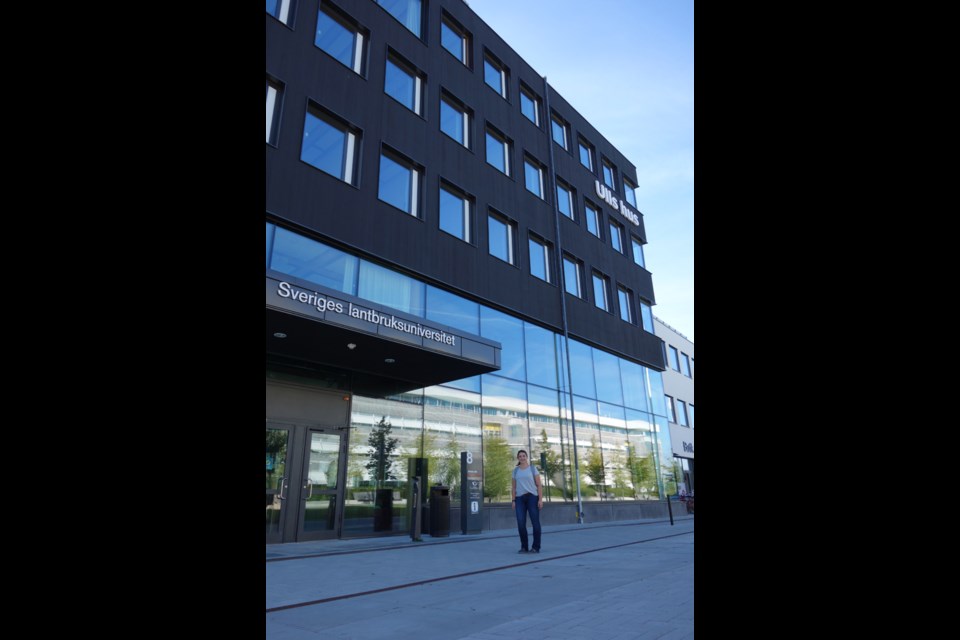 Laura Weinbender of Canora has recently returned from a semester of university in Sweden. She is seen above in front of Swedish University of Agricultural Sciences. Top of page left, highland cattle on the farm she visited north of Uppsala, and right, Nyhaven in Copenhagen, Denmark.