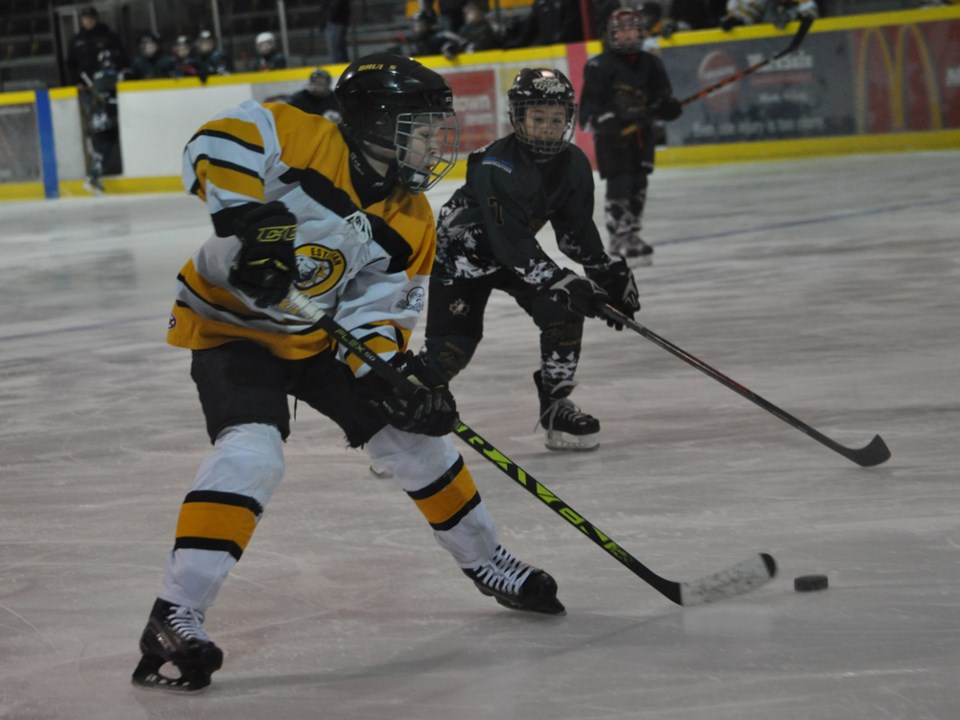 atom bruins wild jan 2017