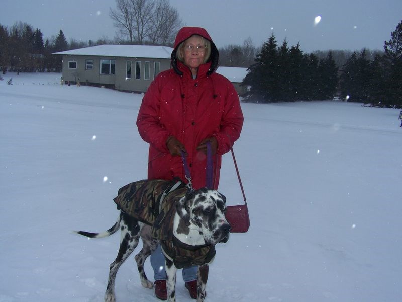 Diana Anderson of Chatham, Ont. braved the cold weather at Norquay recently when she had agreed to walk Sadie, a Great Dane English Mastiff cross that belongs to her friend. The dog was dressed in her winter jacket, which serves as a reminder to all pet owners that winter requires some extra care for their pets.