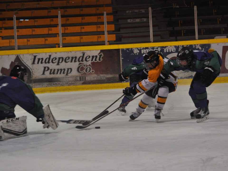 peewee bruins broncos feb 2017