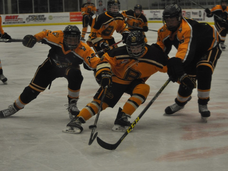 bantam bruins kings feb 2017