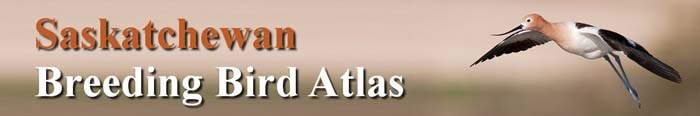 Saskatchewan Breeding Bird Atlas