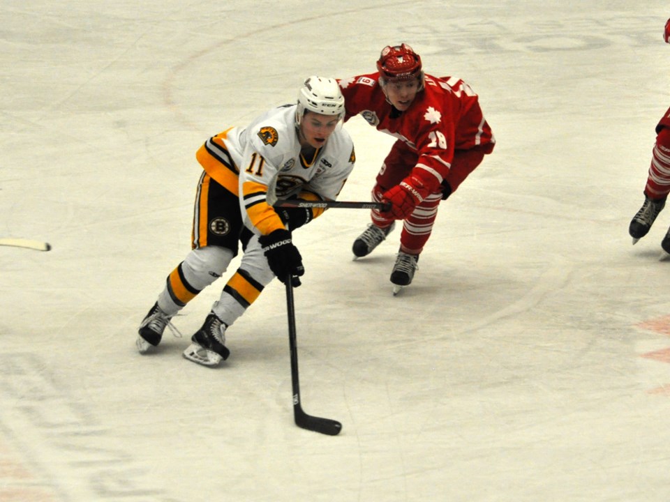 bruins hounds feb 2017