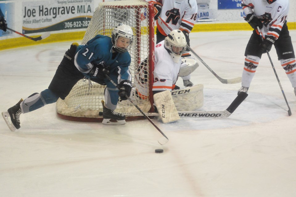 Sharks Bears Game 1