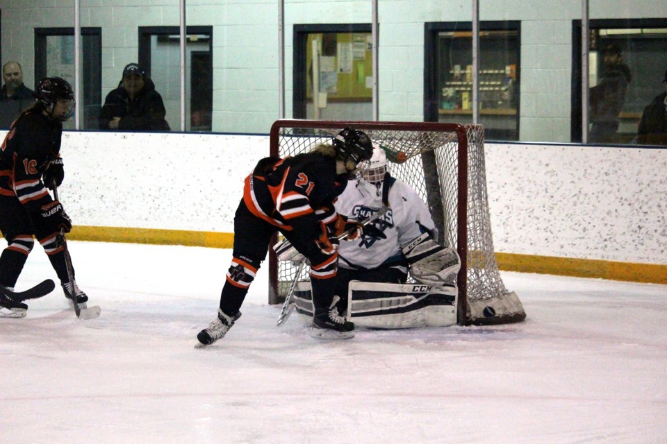 Sharks Bears Game 2