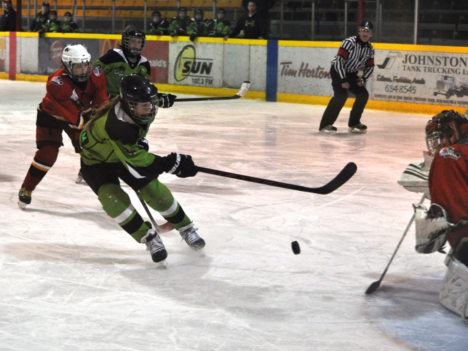 vipers renegades feb 2017