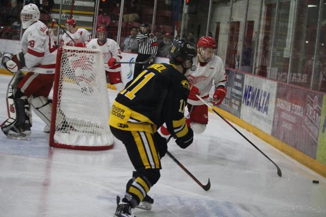 Red Wings