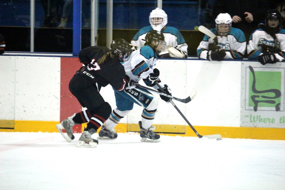 AA Sharks Aces
