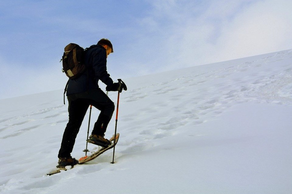 1-4 Active Aging Active Living Snowshoeing Across Alberta