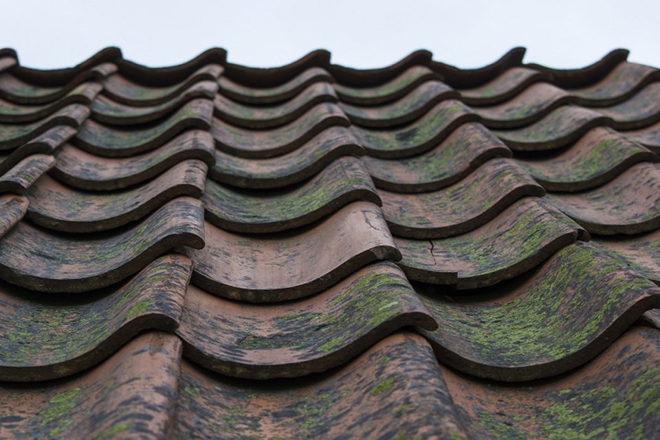 roofers basingstoke