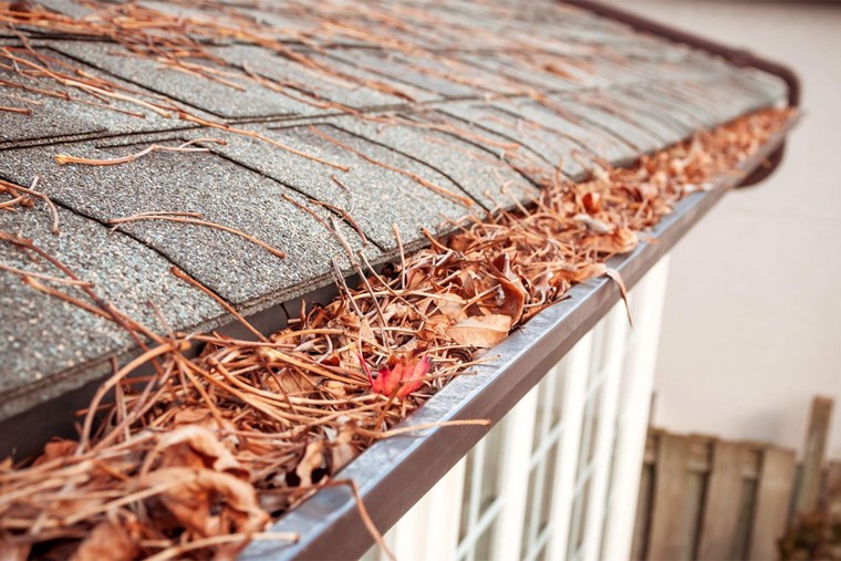 41B_how-to-clean-and-care-for-your-gutters