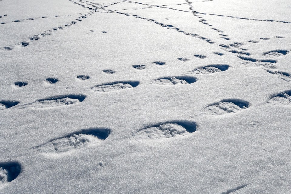 3-2 Snowshoeing Through Alberta