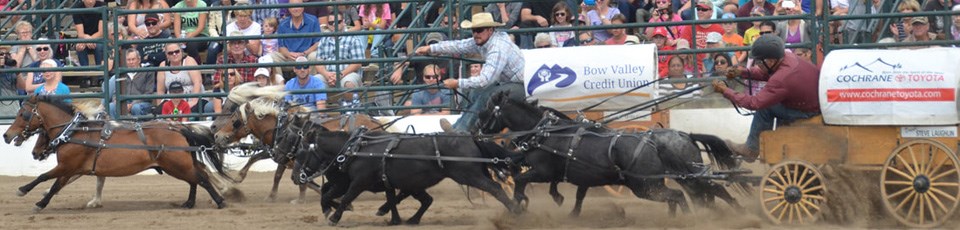 14-3 TTD 1 - COCHRANE