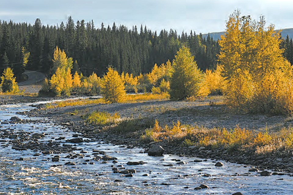 16-2 Elbow River Bragg Creek