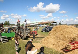 16-3 TTD 4 - Harvest
