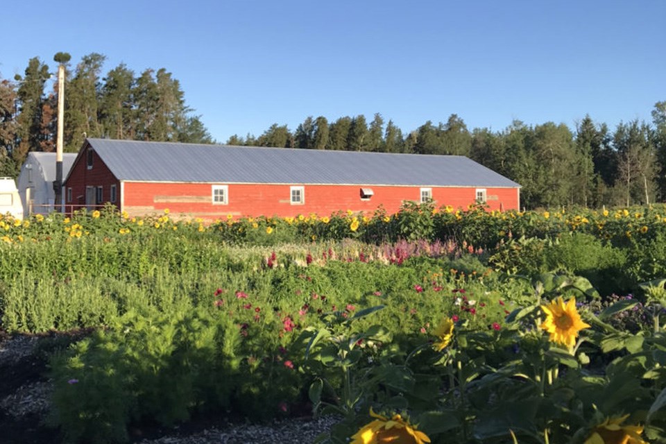 Common Cheer Farm