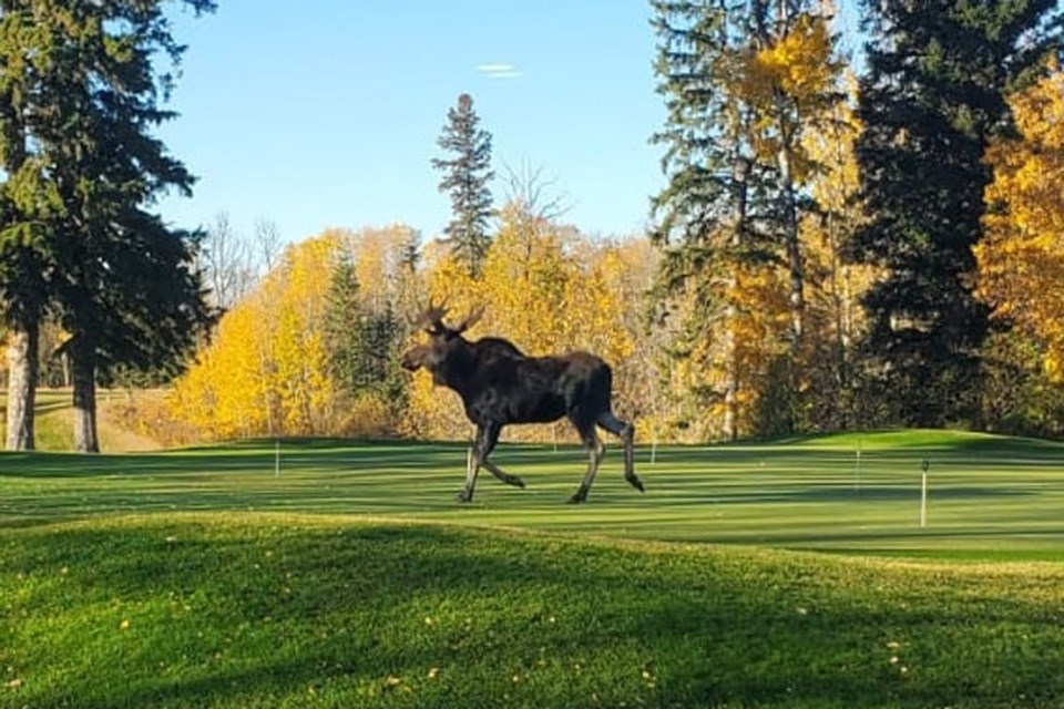 Westlock Golf Club | Facebook