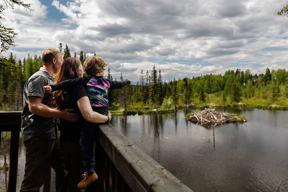 03-beaver-boardwalk-2