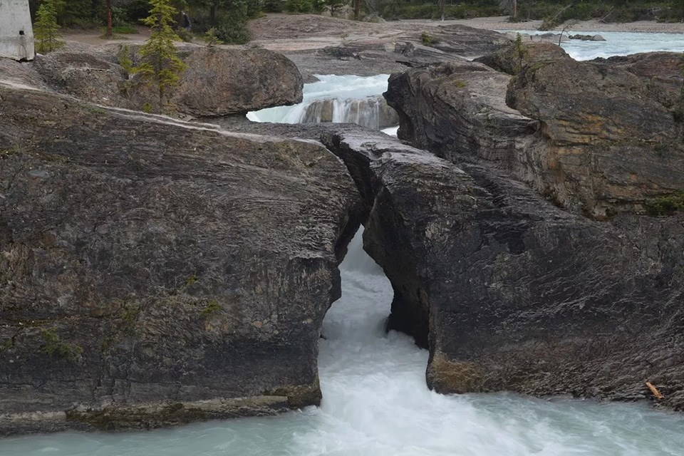 0707-yoho1