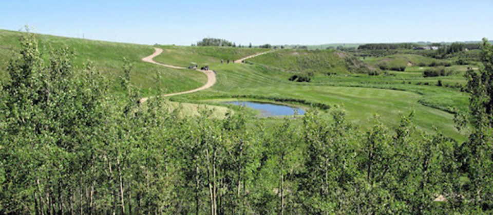 08-golf-2