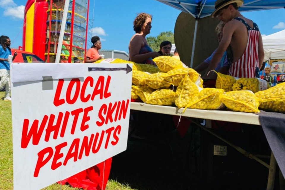 Peanut Festival 2024 Brooklet adela romonda