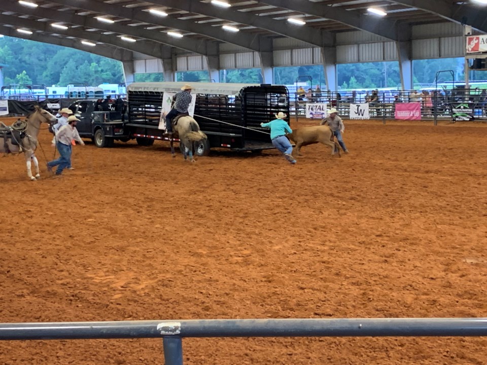 rodeo-1
