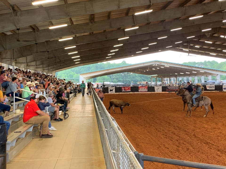 rodeo-2