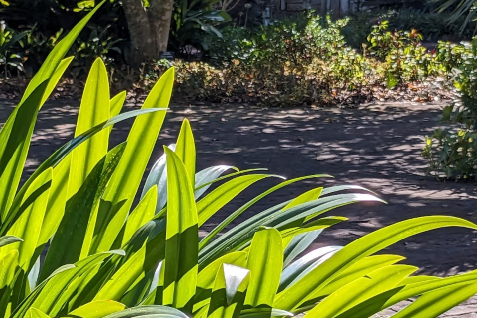 03624-plant
