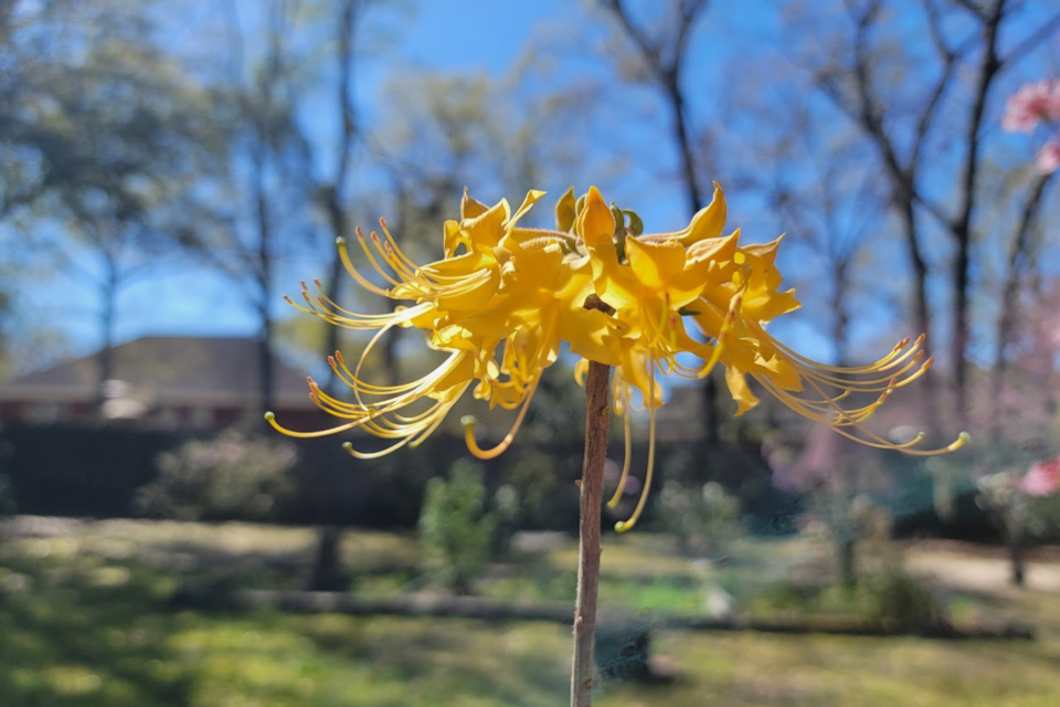 040325