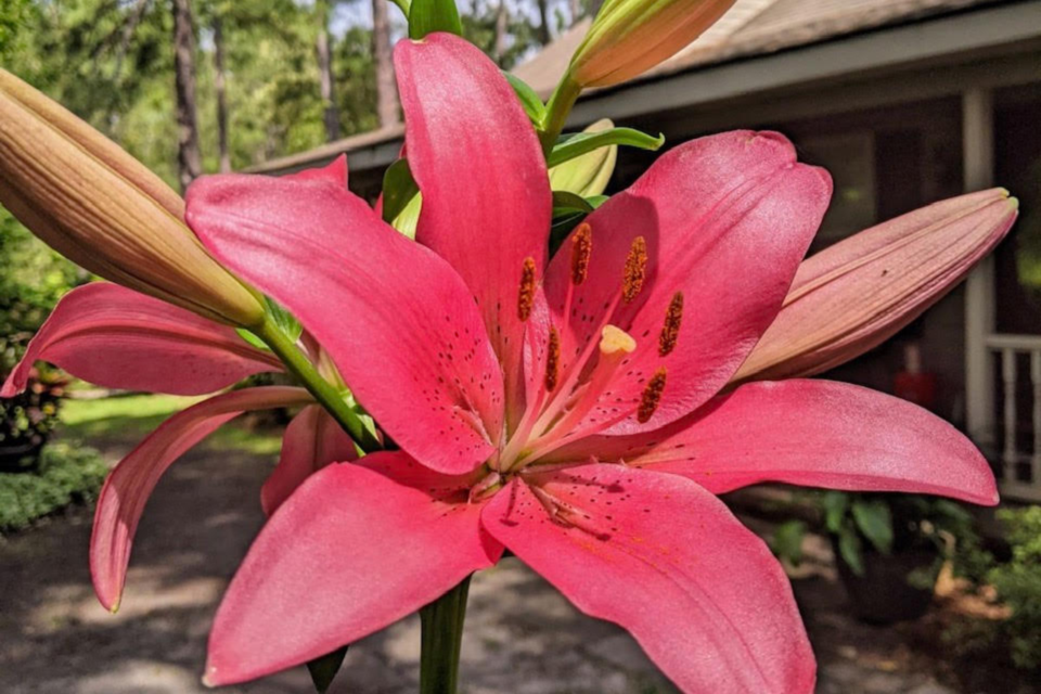 051724
