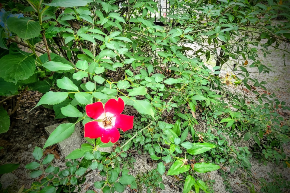052725