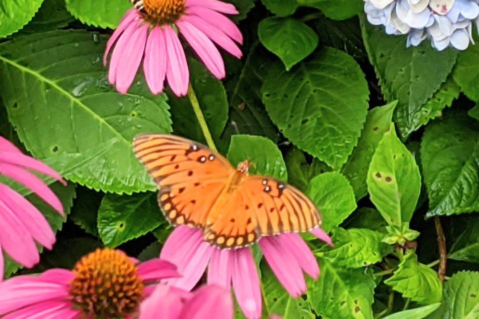 062925