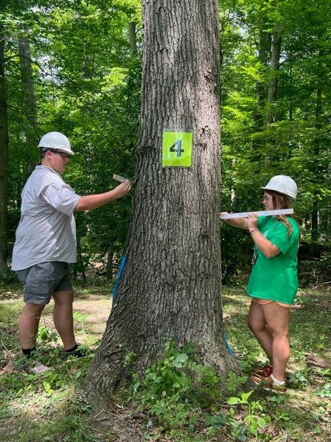 4hforestry-6