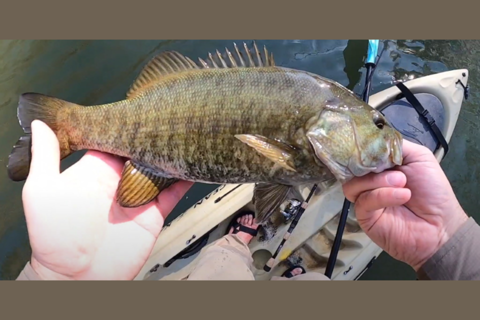 bass-slam-smallmouth-bass