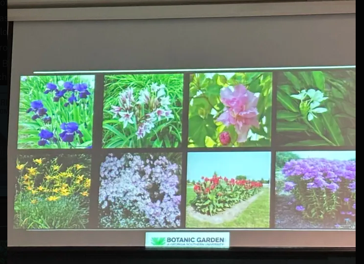 bchs-garden2