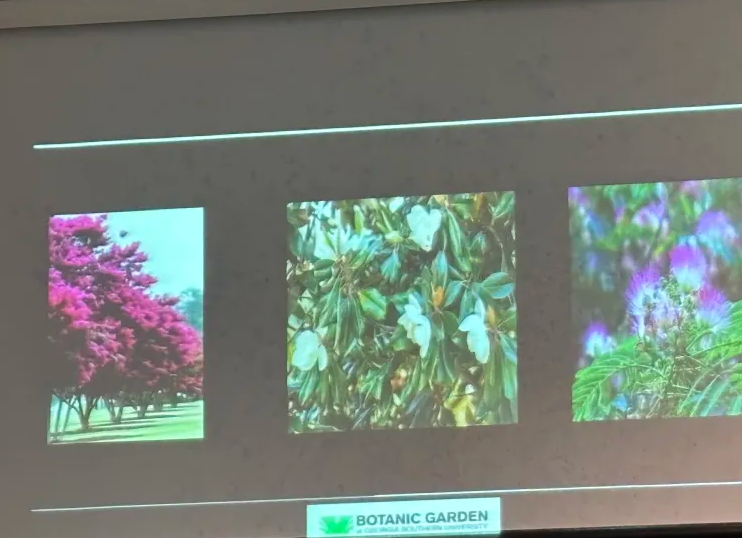 bchs-garden3
