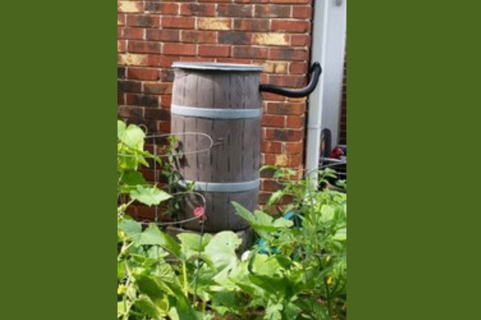 build-your-own-rain-barrel