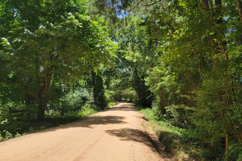 canopy