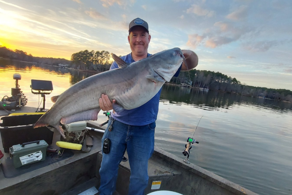fishing forecasts give you a "fin up" on great angling