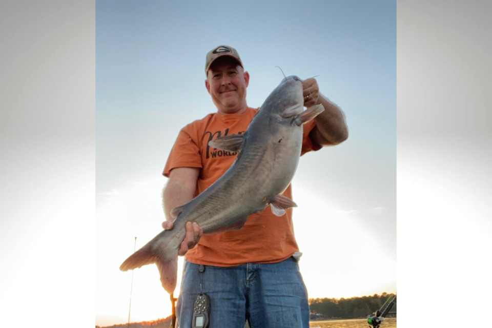 channelcatfish