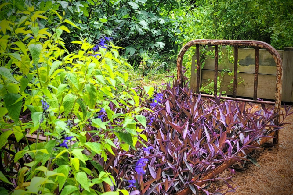 could-this-be-a-flowery-bed-of-ease