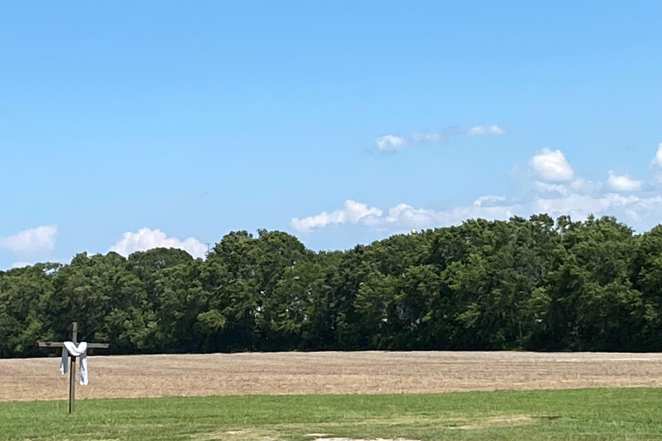 country-scene
