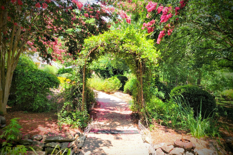 crepe-myrtle-dwarfing-an-arbor