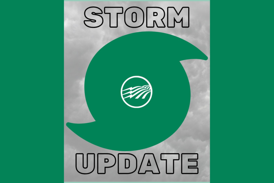 excelsior-storm-update